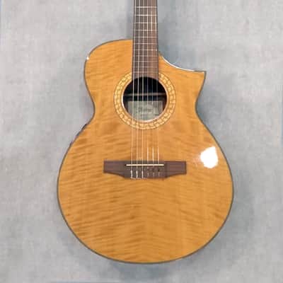 Ibanez EWN30 Natural Nylon image 1