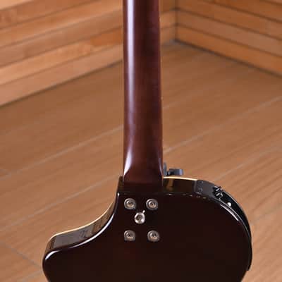 Line 6 Variax Acoustic 300 Series image 13
