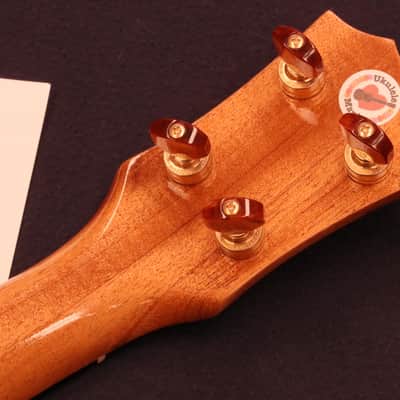 Rebel Curly Mango Gloss Tenor with Ebony Fretboard & Bridge #5151 image 25