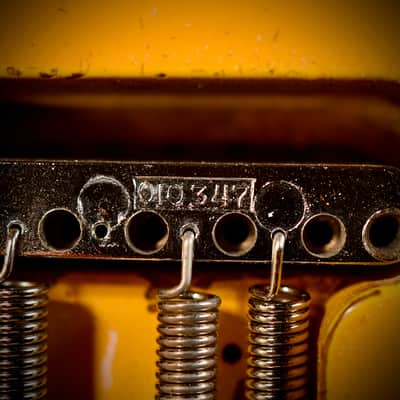 Fender Stratocaster International Colour Monaco Yellow 1981 image 24