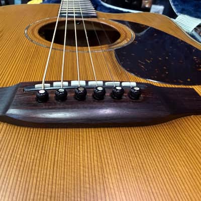 Alvarez Yairi 9Y62 1987 - Mahogany image 6