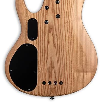 ESP LTD B-204SM Natural Satin (B Stock) image 2