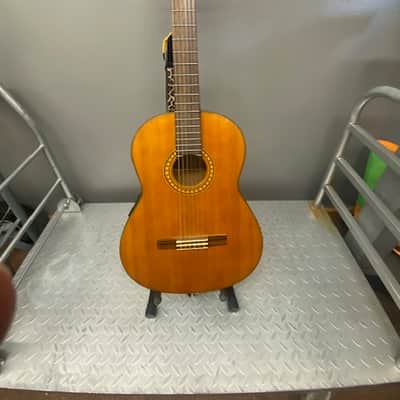 Takamine Cassical Acoustic Electric Guitar EG-116 2000’s image 1