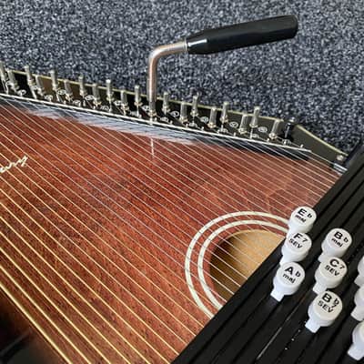 Ashbury 21 Bar Deluxe Autoharp image 6