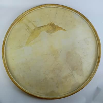 Slingerland 24" Radio King Calfskin Bass Drum Head Vintage 40s Sparks Logo USA image 7