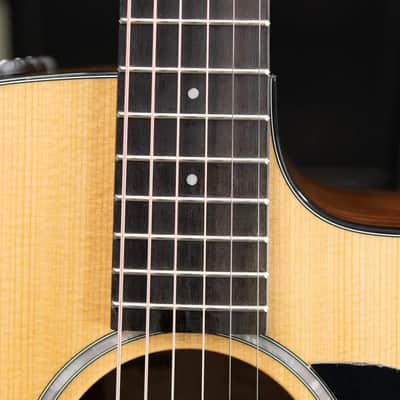 Taylor 210ce Plus Dreadnought Acoustic/Electric Guitar with Aerocase image 10