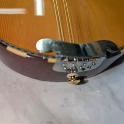 Taisamlu A-Shape Mandolin with strap and soft case.  Fresh set up.  New strings.  Nut and bridge saddle are bone.  Plays nicely.  Sounds great.  Its loud! image 6