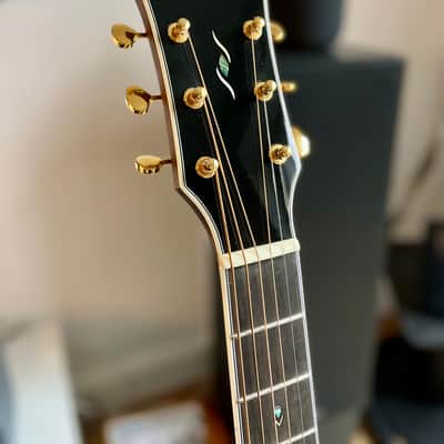 Cort Gold O8 - OM - Mint - Torrified Top - All Solid Pau Ferro Back and Sides image 11