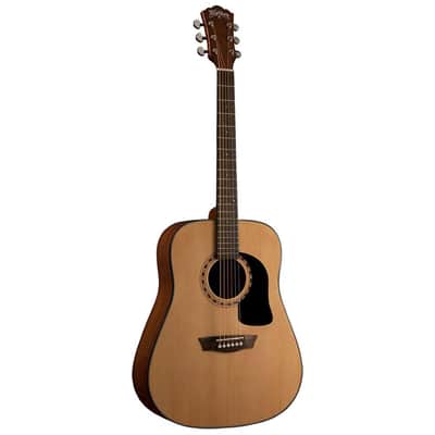 Washburn Apprentice D5 Acoustic Guitar (LDWS) image 2