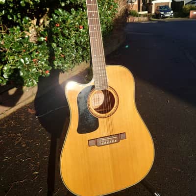 Washburn D10SCE 2020s - Natural - Price Reduced image 1