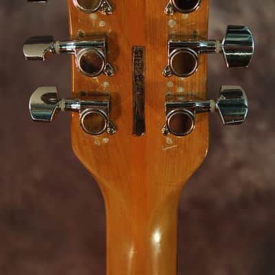 Vintage RARE Teisco Del Rey Hollow Body Ry Cooder Pickups 1960's Redburst image 6