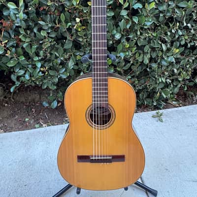 Casa Ricardo Guitarra tipo Valencia 1975 - Vintage- Good Condition image 5