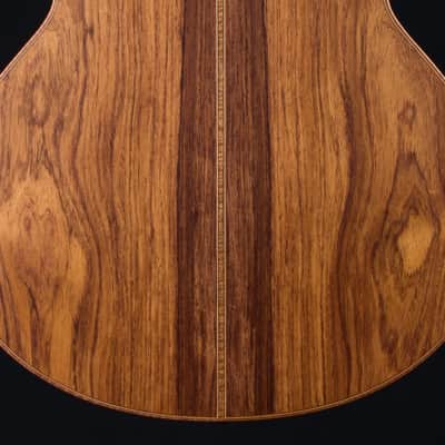 Lowden F-50 Fan Fret Sinker Rosewood and Alpine Spruce 2021 Winter Limited Edition NEW image 21