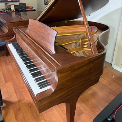 Rare Steinway & Sons Model M Baby Grand Piano image 3