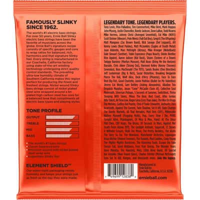 Ernie Ball 2838 Slinky long scale 6 cordes 32-130 image 2
