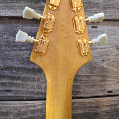 Hamer Vector Korina Flying V 2004 Natural image 10