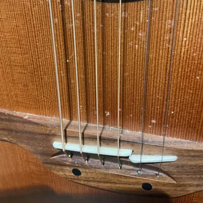 Takamine AN 10 2008 - Clear image 9