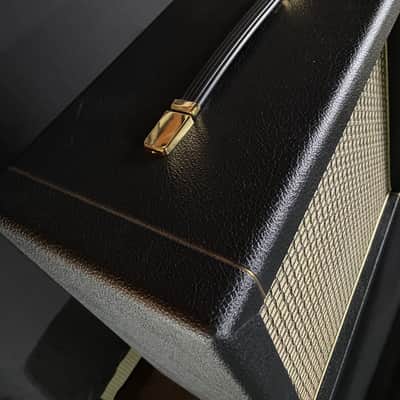 Kerry Wright Custom 4 x 8 Cab - Green Levant Finish Checker Board Grill Cloth & Trusonic  Speakers image 5