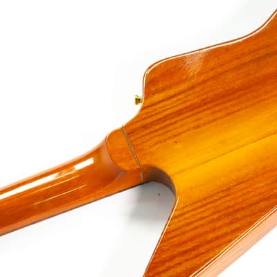Gibson 1976 Explorer Electric Guitar Owned By Billie Joe Armstrong Of Green Day image 20