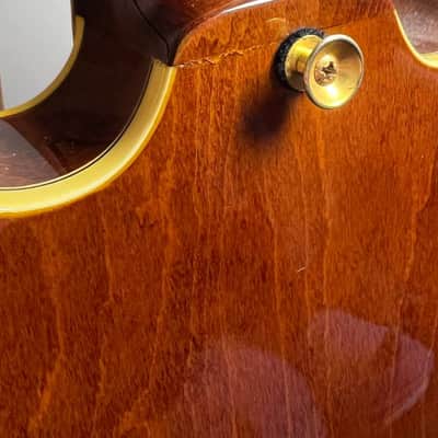 Immagine Epiphone Sheraton - 6