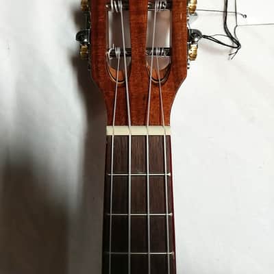 KALA Solid Cedar Top Acacia Concert UKULELE new UKE KA-ACP-CTG w/ Hard Case image 5
