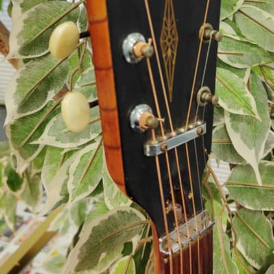 Framus Texan 5/196 Acoustic Guitar - Sunburst West Germany - Vintage 1969 Model image 12