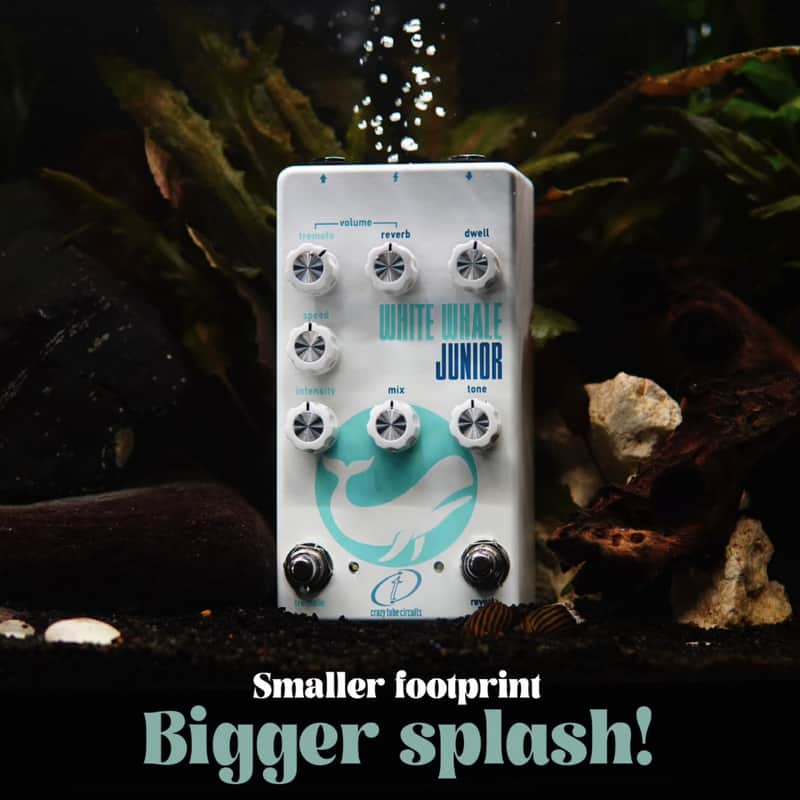 IN STOCK! Crazy Tube Circuits White Whale Junior Analog Spring Reverb/Tremolo Guitar Pedal image 1