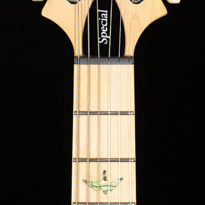 PRS SE Swamp Ash Special Vintage Sunburst (151) image 6