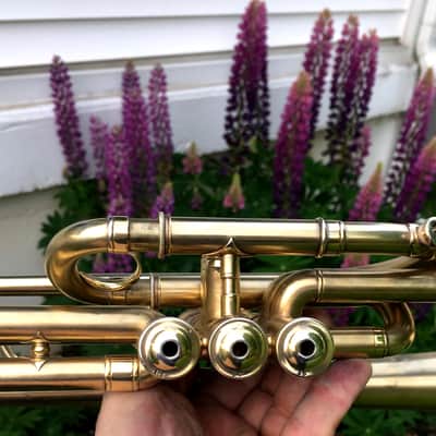 EXCELLENT SPECIAL ORDER LP CORNET F. BESSON BREVETE NEW CREATION 1923 GOLD PLATED LOVELY ENG. TO THE TOP / GREAT COMPRESSION image 12