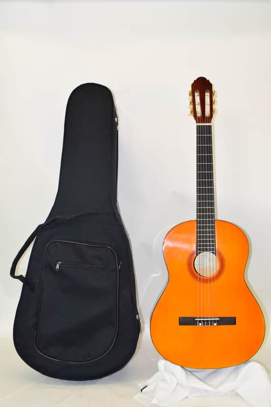 D. Catala Guitarras GO-50 Classical Acoustic Guitar w/ Hardshell Case image 1