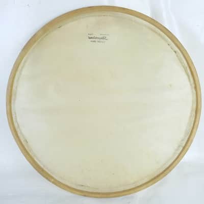 *Slingerland 15" Resonant Slunk Genuine Calf Skin Parade Snare Drum Head 50s USA image 7