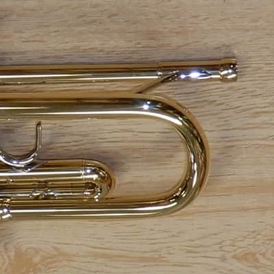 Bach TR200 Series Bb Trumpet Lacquered Brass image 12
