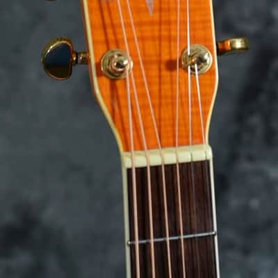 Alvarez FD60 Acoustic Electric Cutaway Dreadnought Amber Gloss Full Setup with Full Working EQ and FAST Shipping image 3