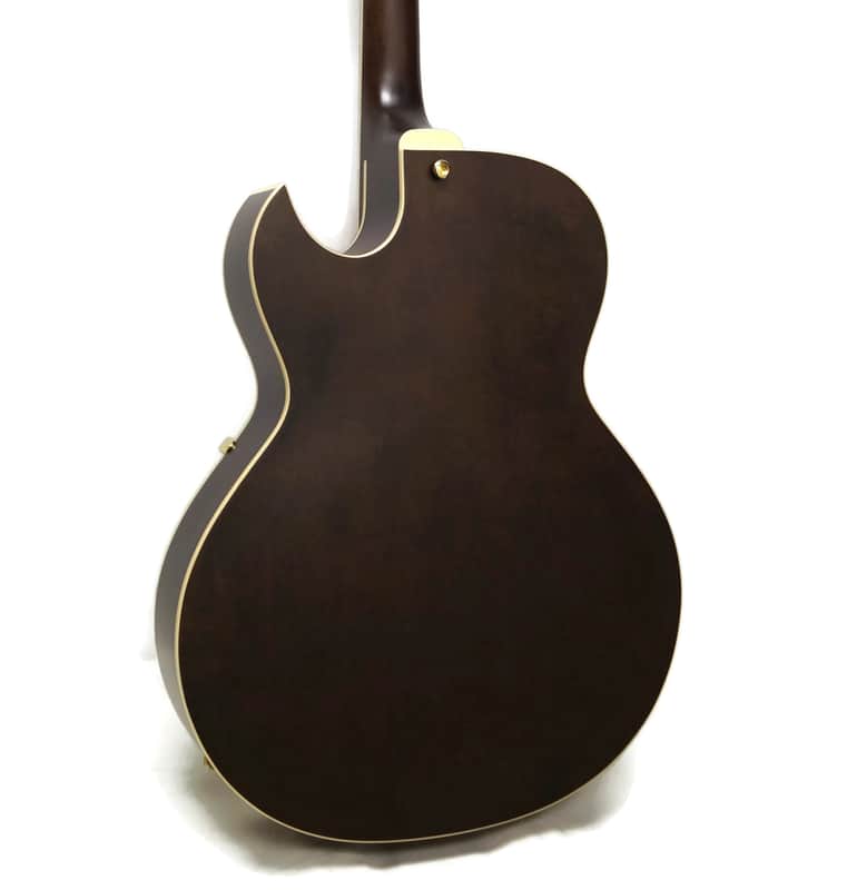 Epiphone ES-295 Premium Limited Edition Hollowbody Electric Guitar