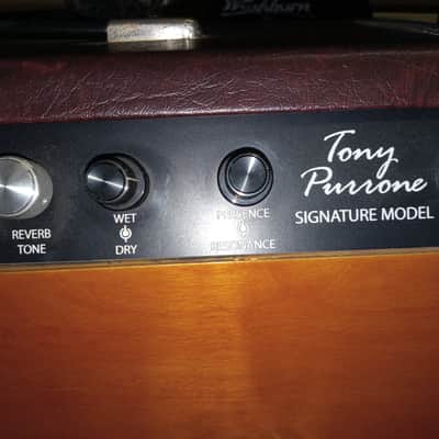 🎶Tony Purrone Firestorm Signature Series Amplifier🎶 image 5
