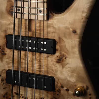 Fodera Emperor 5 Standard Special Buckeye Burl 2025 (9,7 Lbs.) image 5
