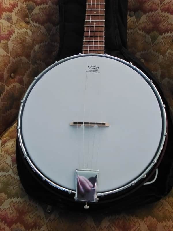 Hoe Down  5 String Banjo new  Rocky top Closed Back[ LAST CALL] image 1