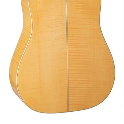 Takamine GD74CE-12U Gloss Natural w/Case image 2