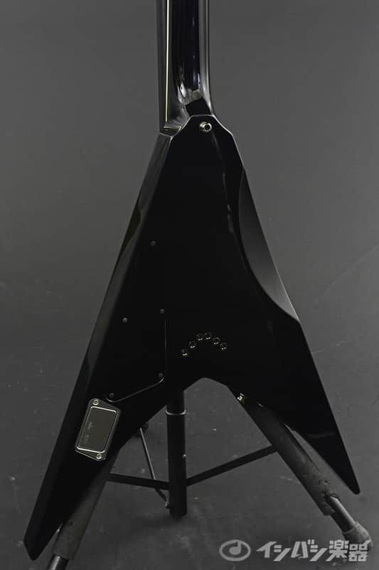 ESP Michael Paget V | Reverb