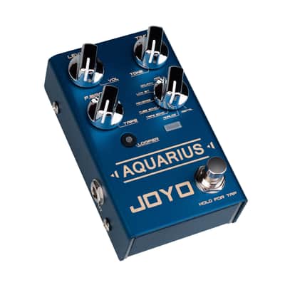 Joyo R-07 Revolution Series Aquarius Delay& Looper Guitar Effect Pedal - Jam Music Instruments image 4