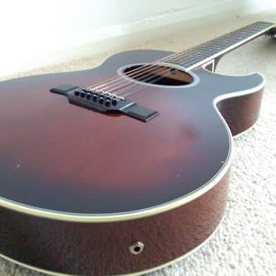 Washburn Woodstock 12-A | Reverb