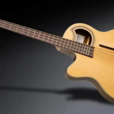 Warwick RockBass Alien Deluxe Hybrid Thinline, Lefthand, 4-String - Natural Transparent Satin image 2