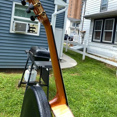 Cordoba 55FCE Thinbody Classical with Electronics 2000s - Natural image 2