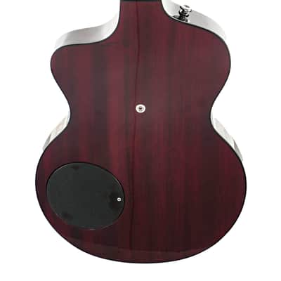 Rick Turner Model 1 Deluxe Guitar #6043 image 5
