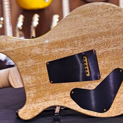 PRS Custom 24 Piezo 2019 burnt maple leaf wood library image 8