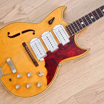 1960s Kay Pro P-3 Thinline Doublecut Vintage Guitar Barney Kessel Kleenex Box w/ Case, Swingmaster image 1