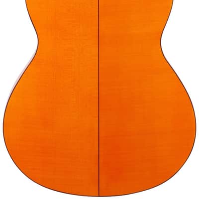 Alhambra 4-F Conservatory Flamenco Guitar (with Gig Bag) image 5