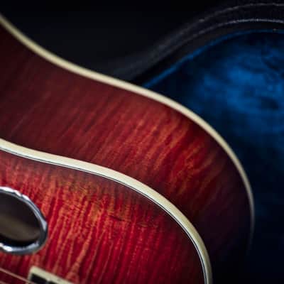 National Scheerhorn Figured Maple Roundneck 2019 image 4