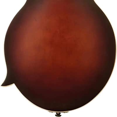 The Loar LM-310F-BRB Honey Creek F-Style Mandolin image 2