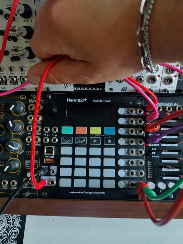 Squarp Instruments Hermod+ Modular Brain 2023 - Present - Black image 1